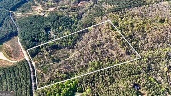 29 Acres of Land for Sale in Dewy Rose, Georgia