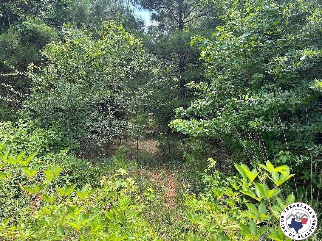 50 Acres of Recreational Land for Sale in Bivins, Texas