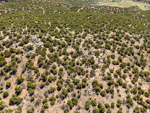 130 Acres of Land for Sale in Gardner, Colorado