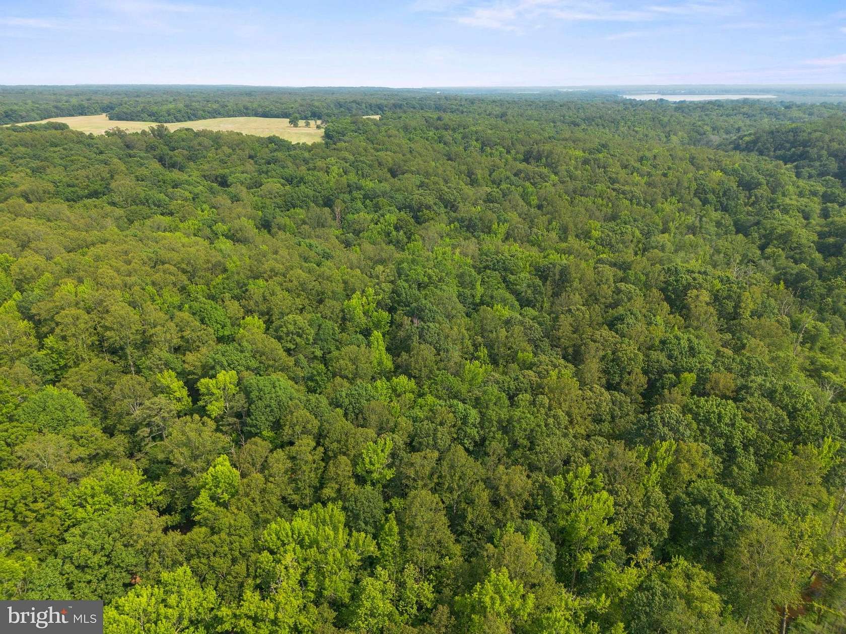 10 Acres of Residential Land for Sale in King George, Virginia