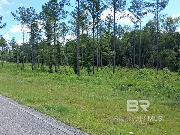 15 Acres of Land for Sale in Atmore, Alabama