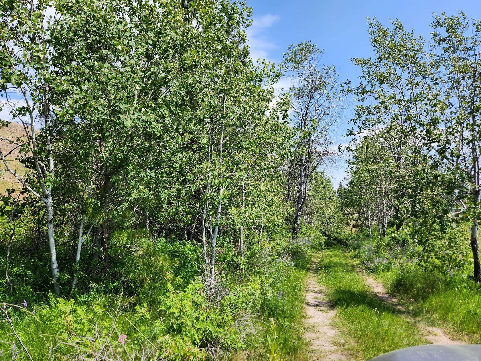 60 Acres of Recreational Land for Sale in Tonasket, Washington