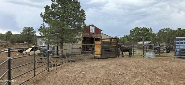 3.16 Acres of Residential Land with Home for Sale in Vernon, Arizona