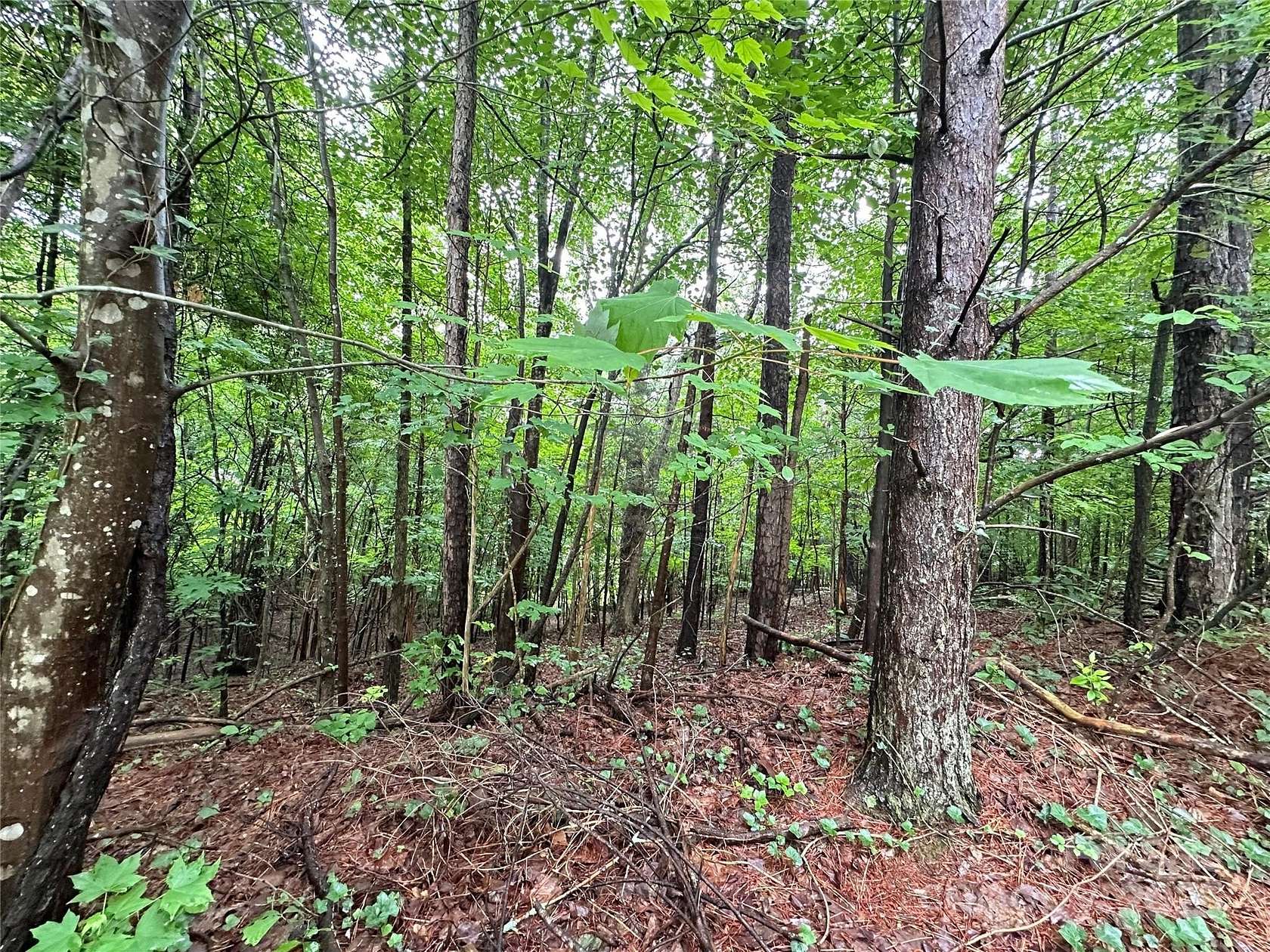 0.46 Acres of Residential Land for Sale in Mint Hill, North Carolina