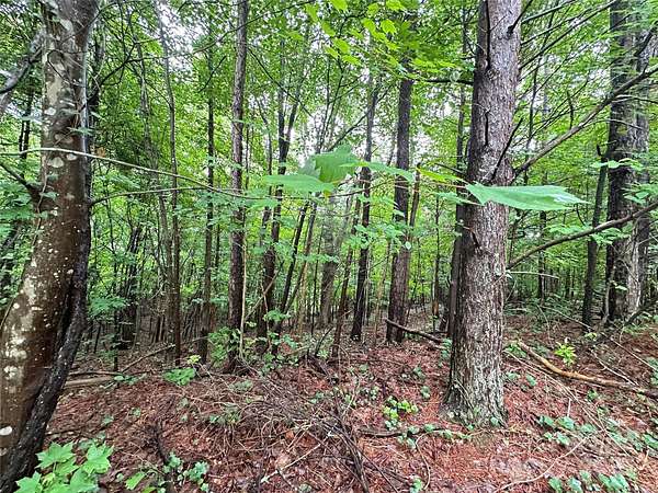 0.46 Acres of Residential Land for Sale in Mint Hill, North Carolina