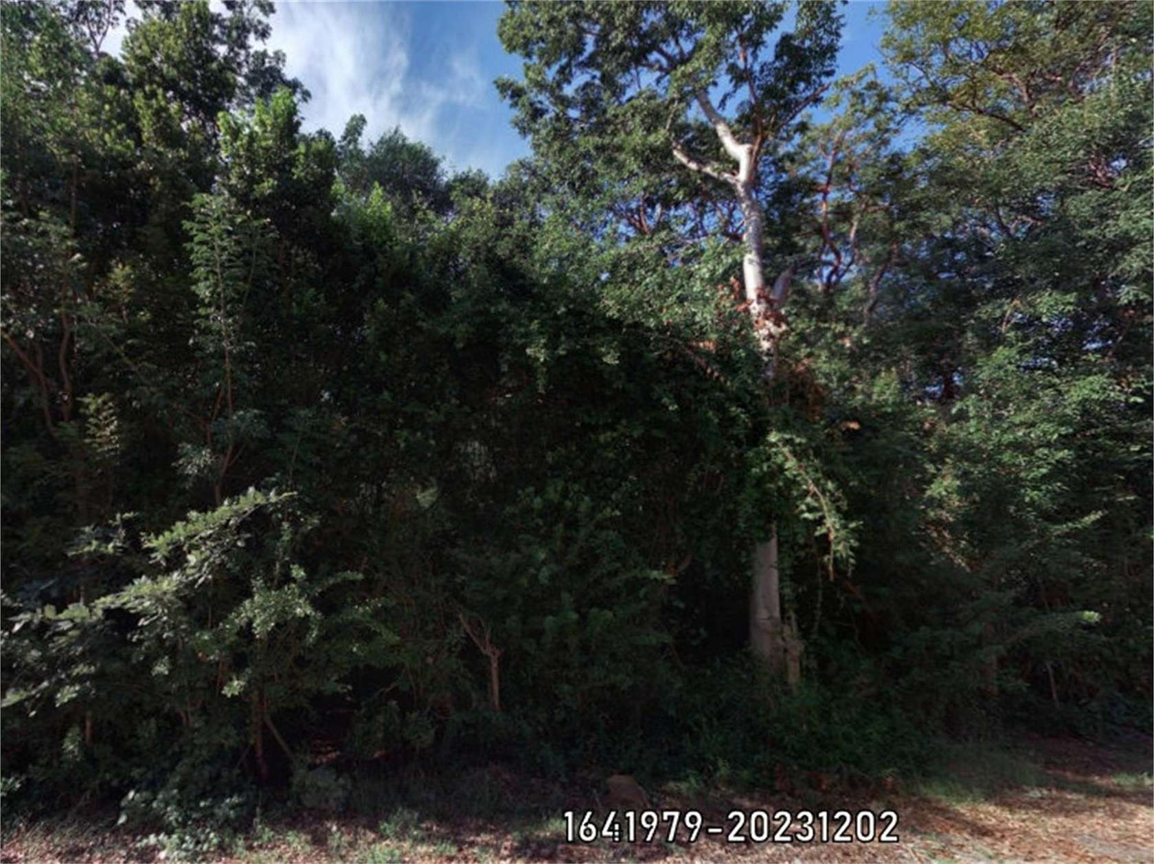 Land for Sale in Key Largo, Florida