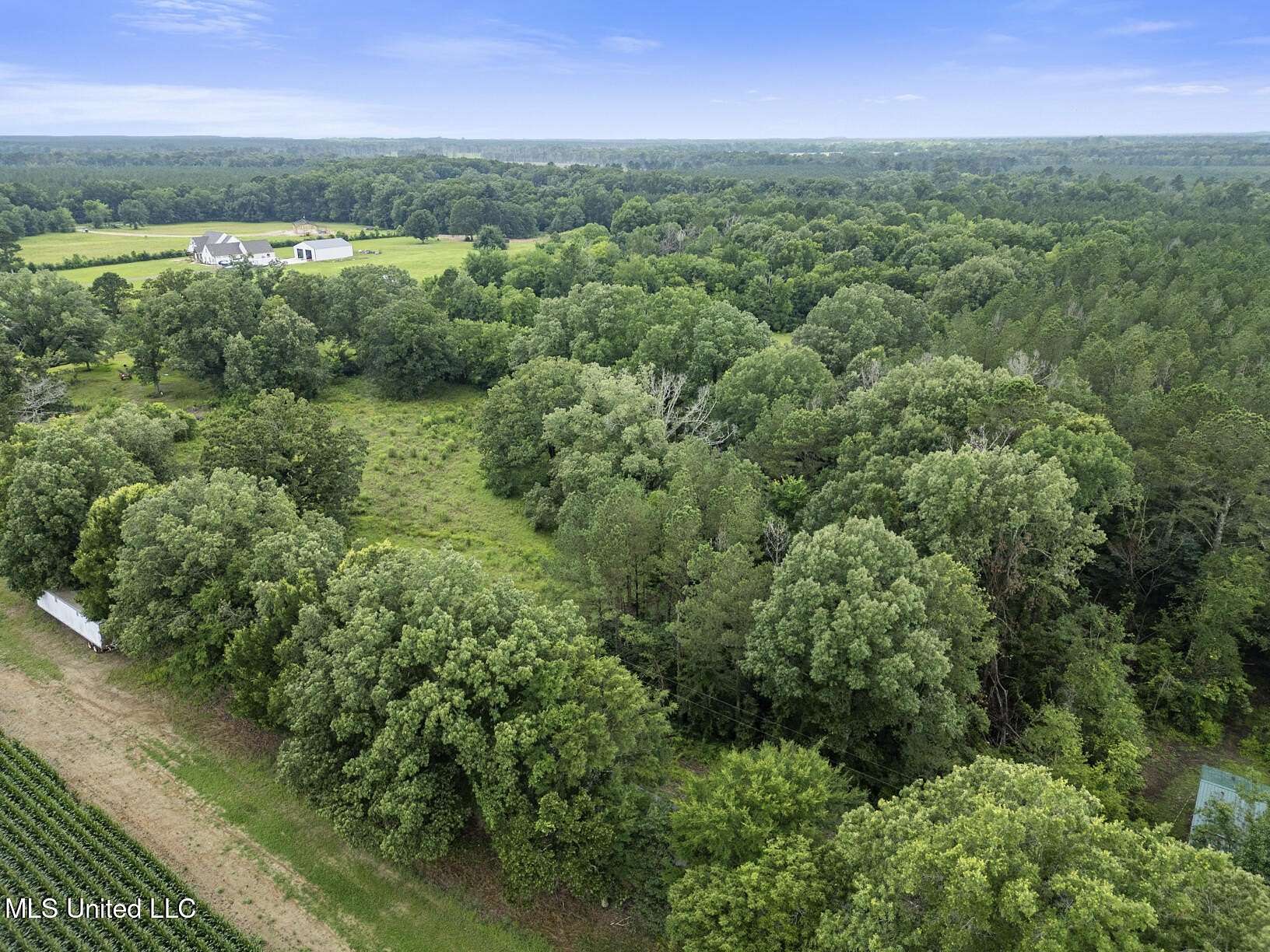 20.3 Acres of Agricultural Land for Sale in Pelahatchie, Mississippi