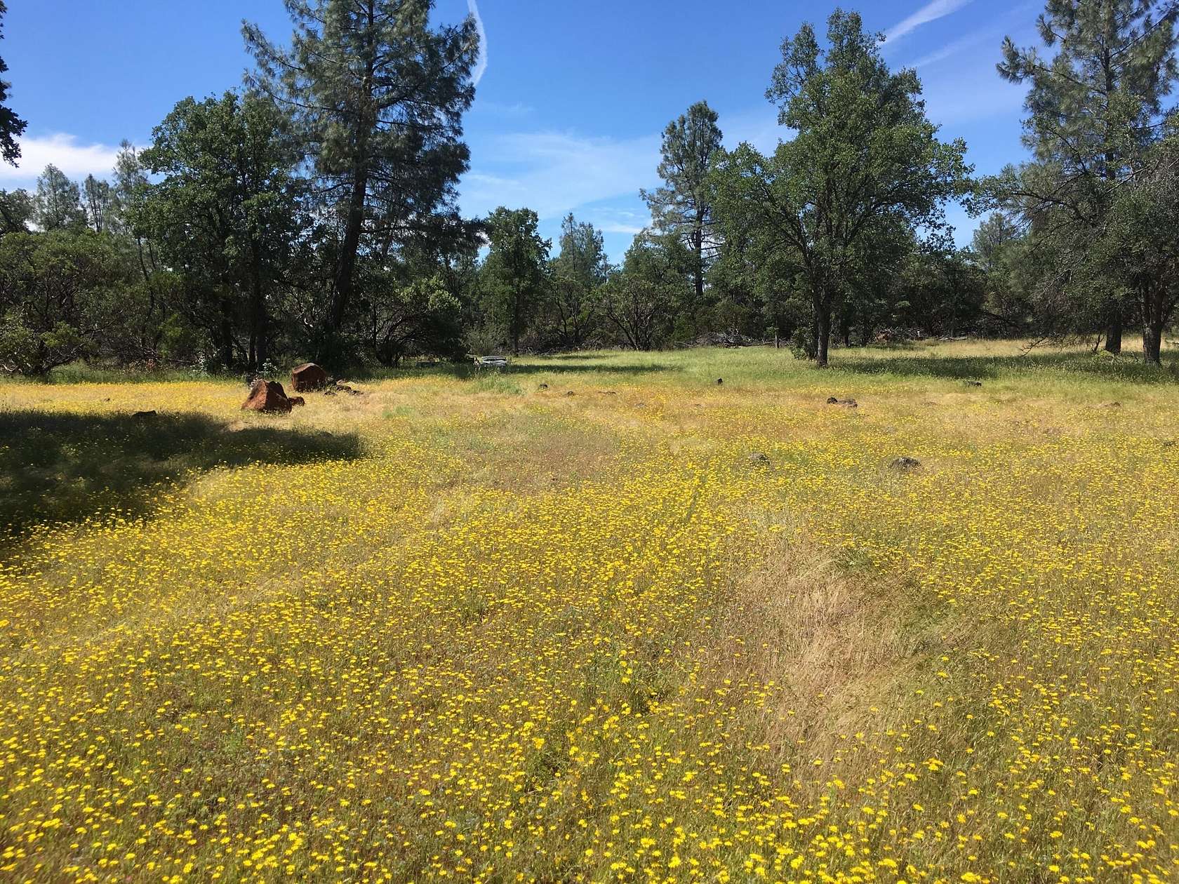 46 Acres of Land for Sale in Millville, California