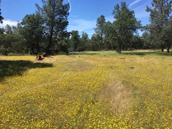 46 Acres of Land for Sale in Millville, California
