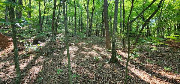 1 Acre of Residential Land for Sale in Columbus, North Carolina