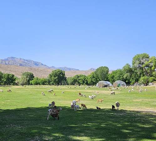 120 Acres of Land for Sale in Caliente, Nevada