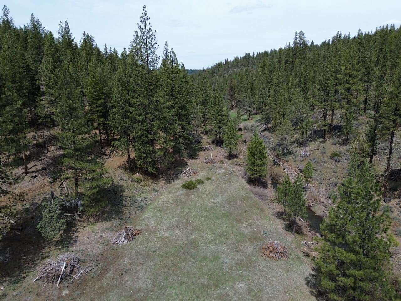 120 Acres of Recreational Land for Sale in Adin, California