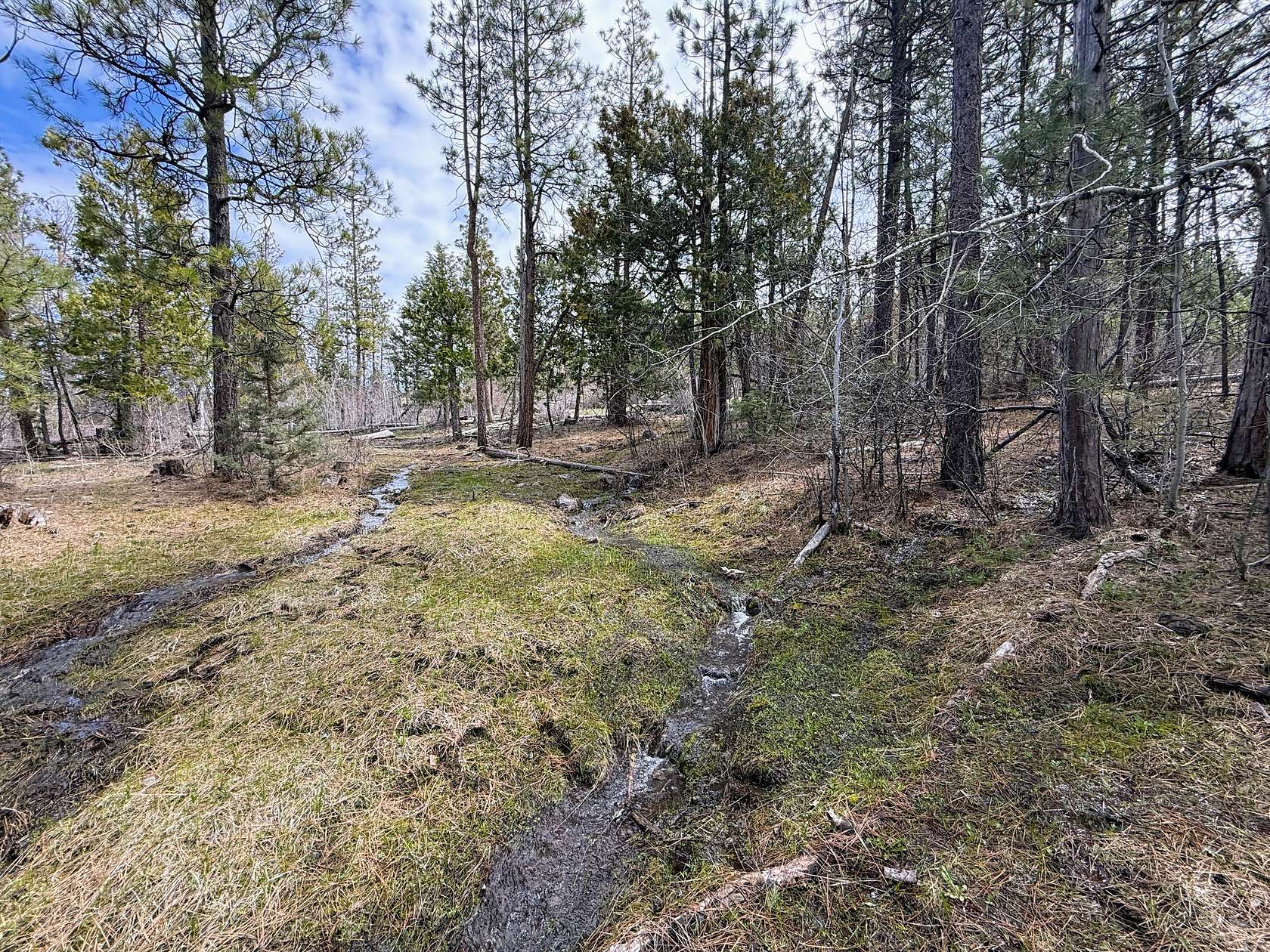 60 Acres of Recreational Land for Sale in Beatty, Oregon