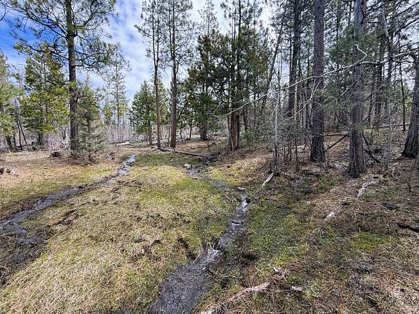 60 Acres of Recreational Land for Sale in Beatty, Oregon