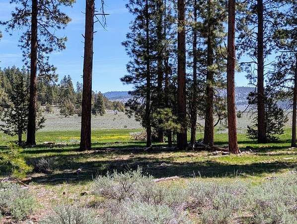 240 Acres of Recreational Land for Sale in Bly, Oregon