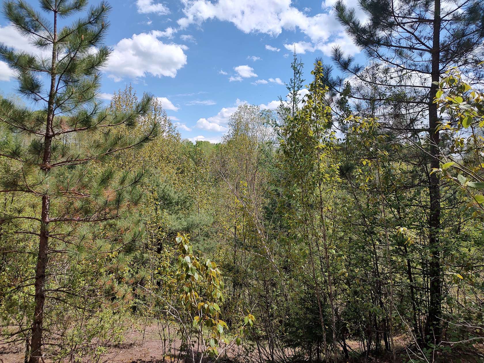 160 Acres of Recreational Land for Sale in Marenisco, Michigan