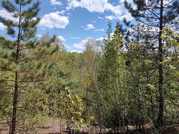 160 Acres of Recreational Land for Sale in Marenisco, Michigan