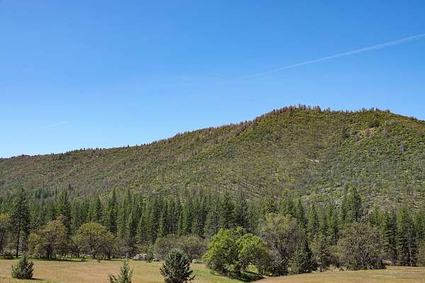 487 Acres of Recreational Land & Farm for Sale in Fort Jones, California