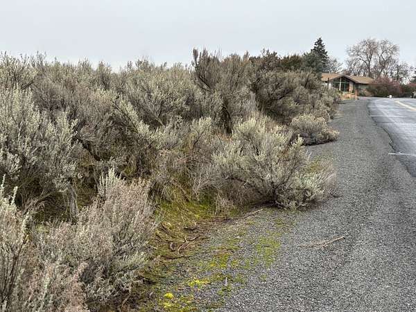 10.2 Acres of Recreational Land for Sale in Lind, Washington