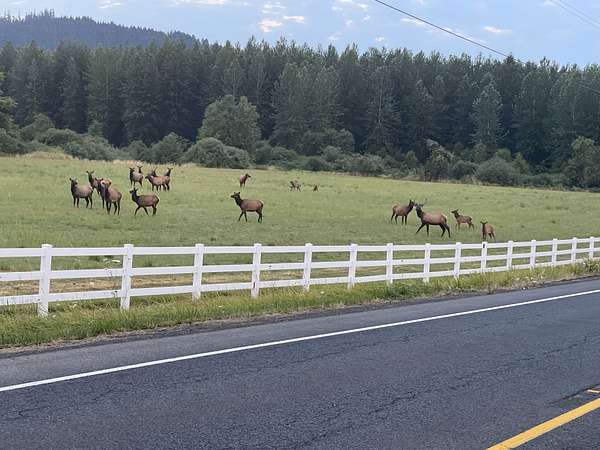 26.5 Acres of Improved Land for Sale in Drain, Oregon