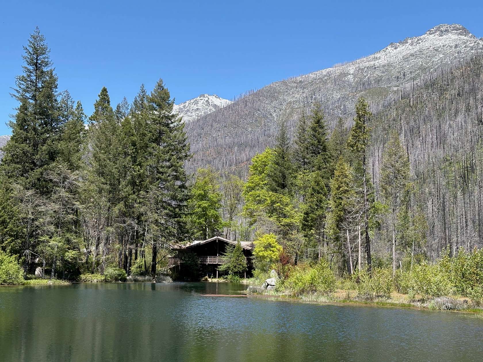 655 Acres of Agricultural Land with Home for Sale in Coffee Creek, California