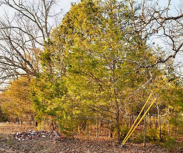 0.29 Acres of Residential Land for Sale in Horseshoe Bend, Arkansas