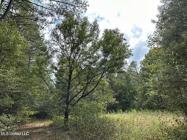 20 Acres of Recreational Land for Sale in Morton, Mississippi