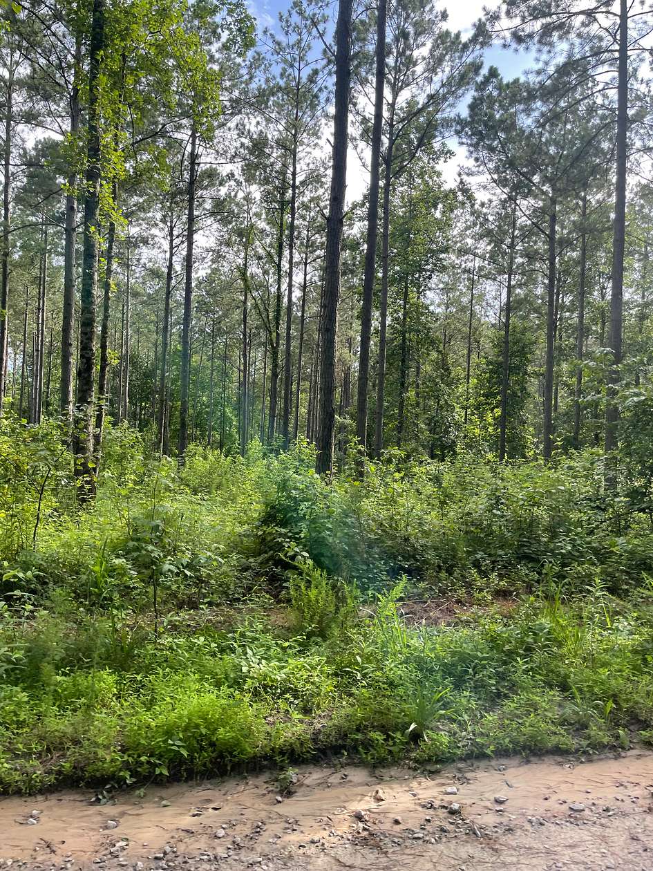 5.67 Acres of Land for Sale in Carrollton, Georgia