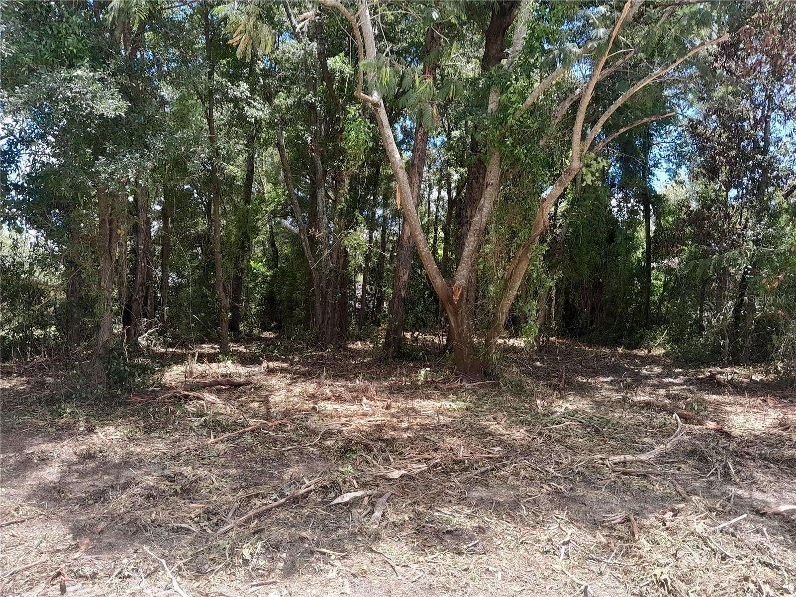0.23 Acres of Residential Land for Sale in Williston, Florida