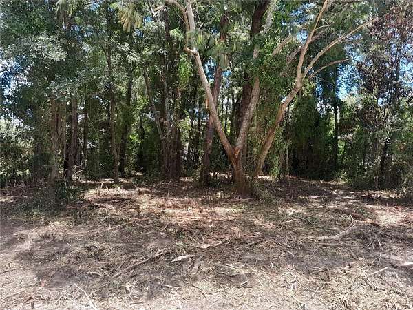 0.23 Acres of Residential Land for Sale in Williston, Florida