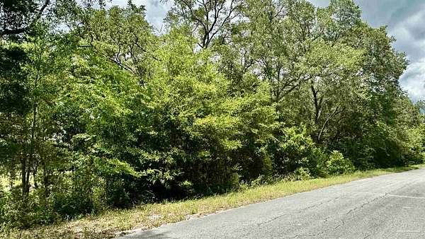 0.32 Acres of Residential Land for Sale in Dunnellon, Florida