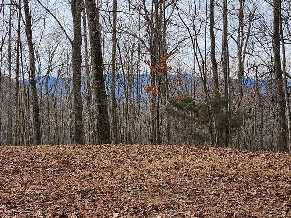 1 Acre of Residential Land for Sale in Franklin, North Carolina