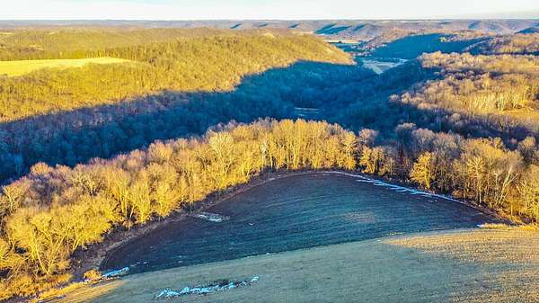 80 Acres of Land for Sale in Cochrane, Wisconsin