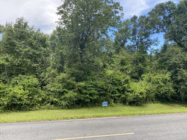 10 Acres of Land for Sale in Sneads, Florida