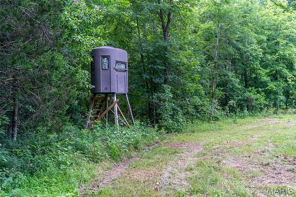 96 Acres of Recreational Land & Farm for Auction in Glen Allen, Missouri