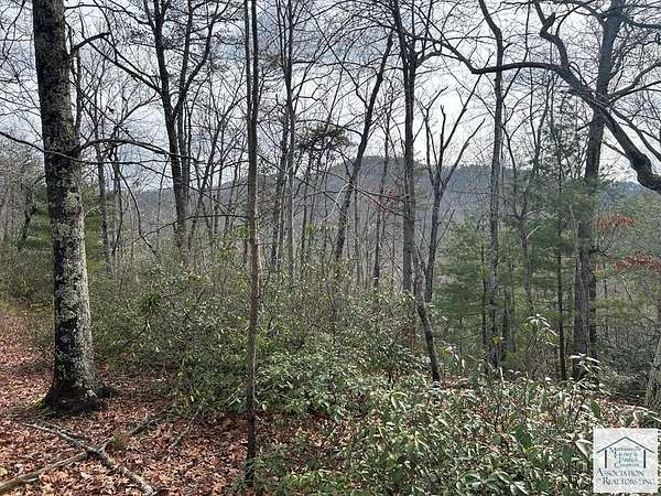 23 Acres of Recreational Land for Sale in Stuart, Virginia