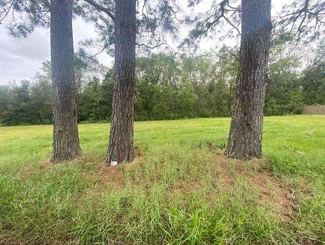 Residential Land for Sale in Saint Bernard, Louisiana