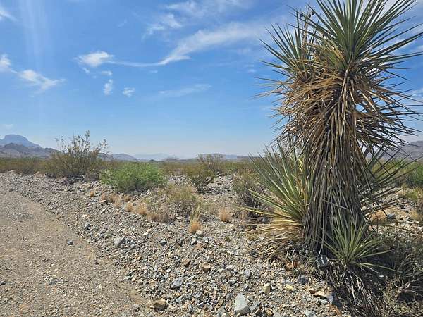 40 Acres of Recreational & Residential Land for Sale in Terlingua, Texas