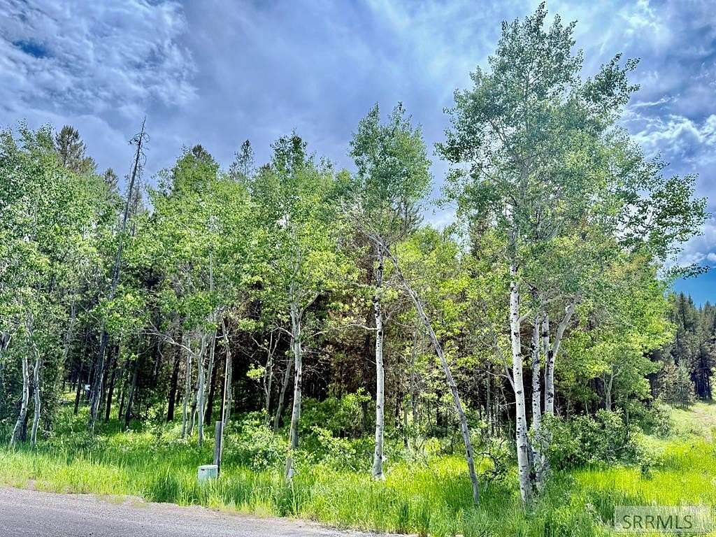 3.5 Acres of Land for Sale in Island Park, Idaho