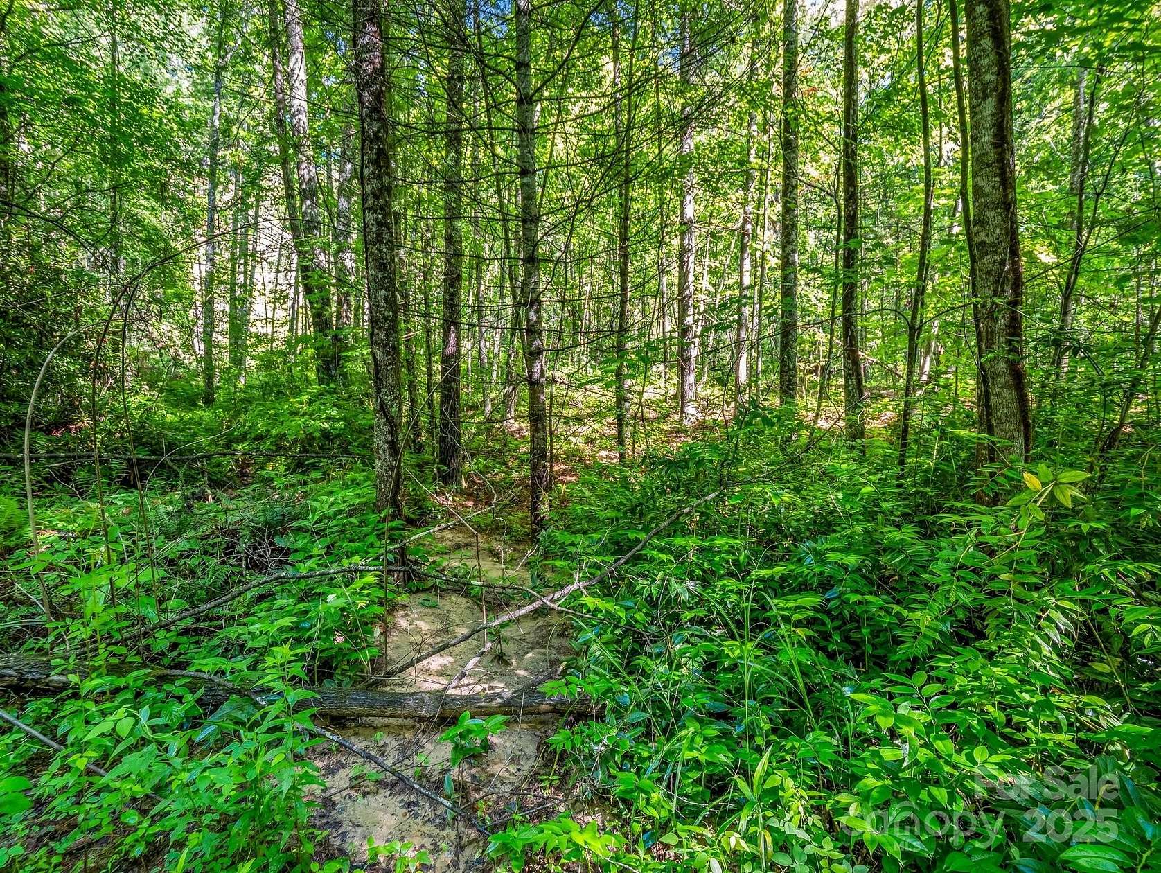 12 Acres of Land for Sale in Hendersonville, North Carolina
