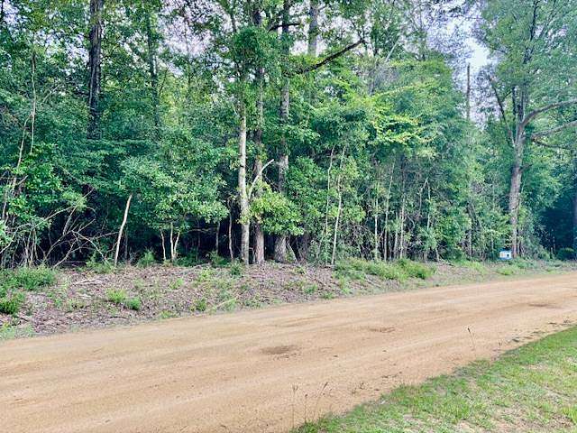 18 Acres of Recreational Land for Sale in Dozier, Alabama