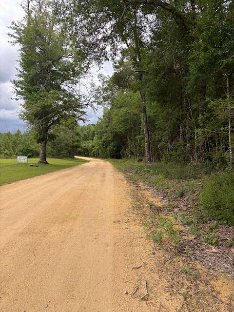 18 Acres of Recreational & Residential Land for Sale in Dozier, Alabama