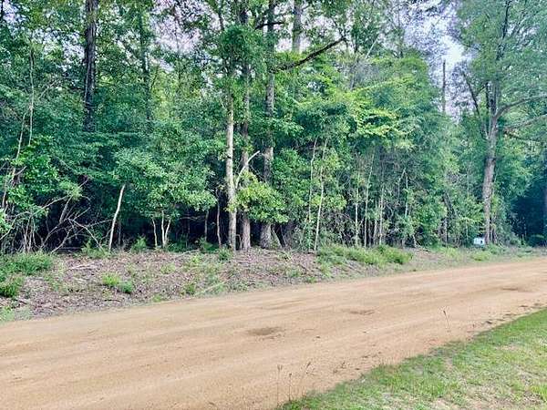 18 Acres of Recreational Land for Sale in Dozier, Alabama