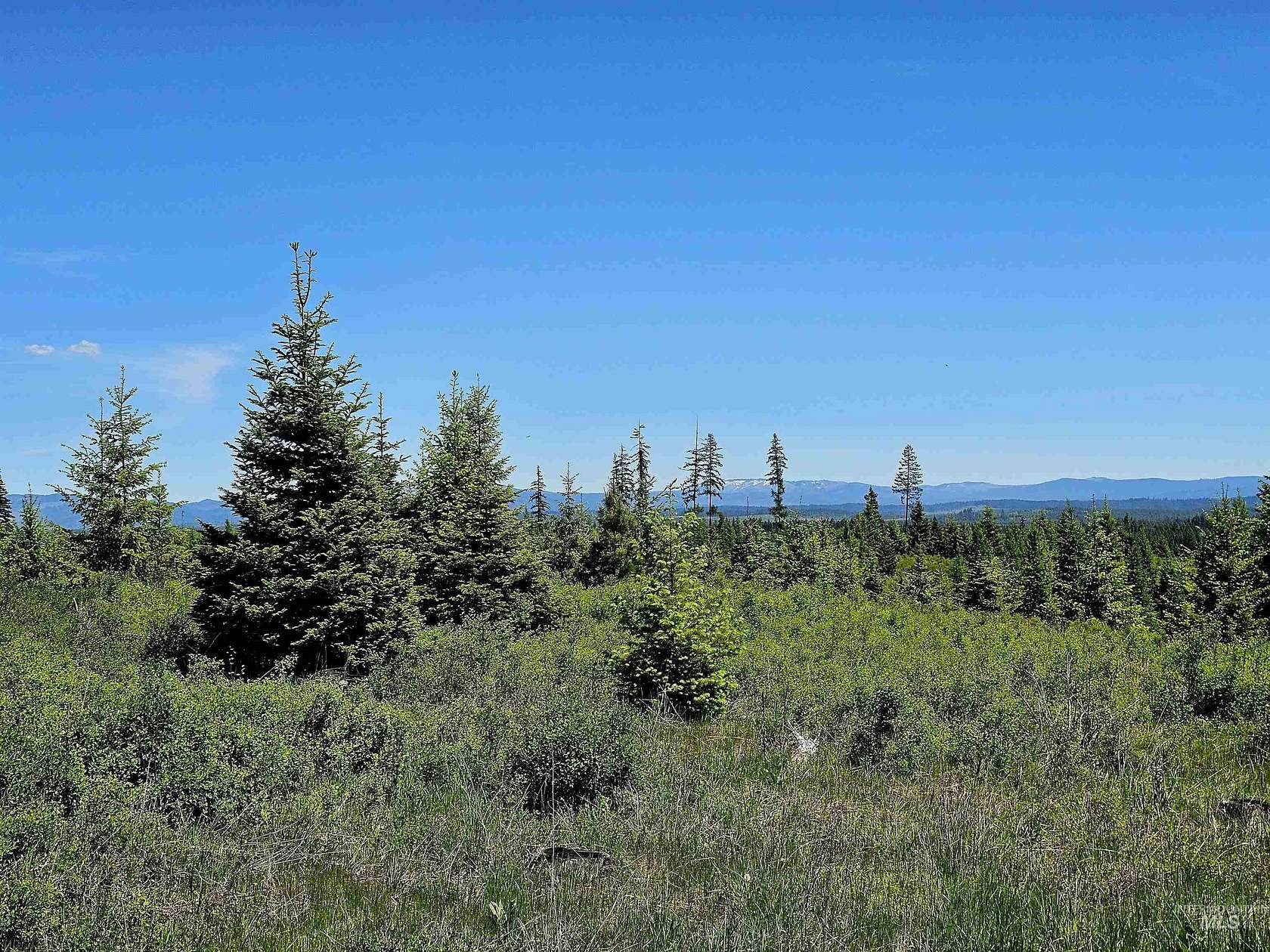 20.2 Acres of Recreational & Residential Land for Sale in Weippe, Idaho
