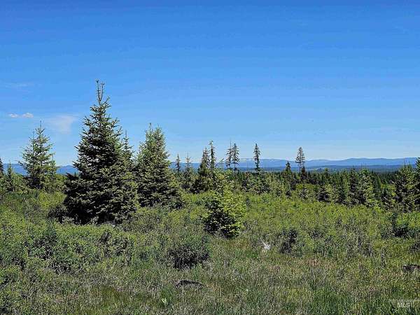 20.2 Acres of Recreational Land for Sale in Weippe, Idaho