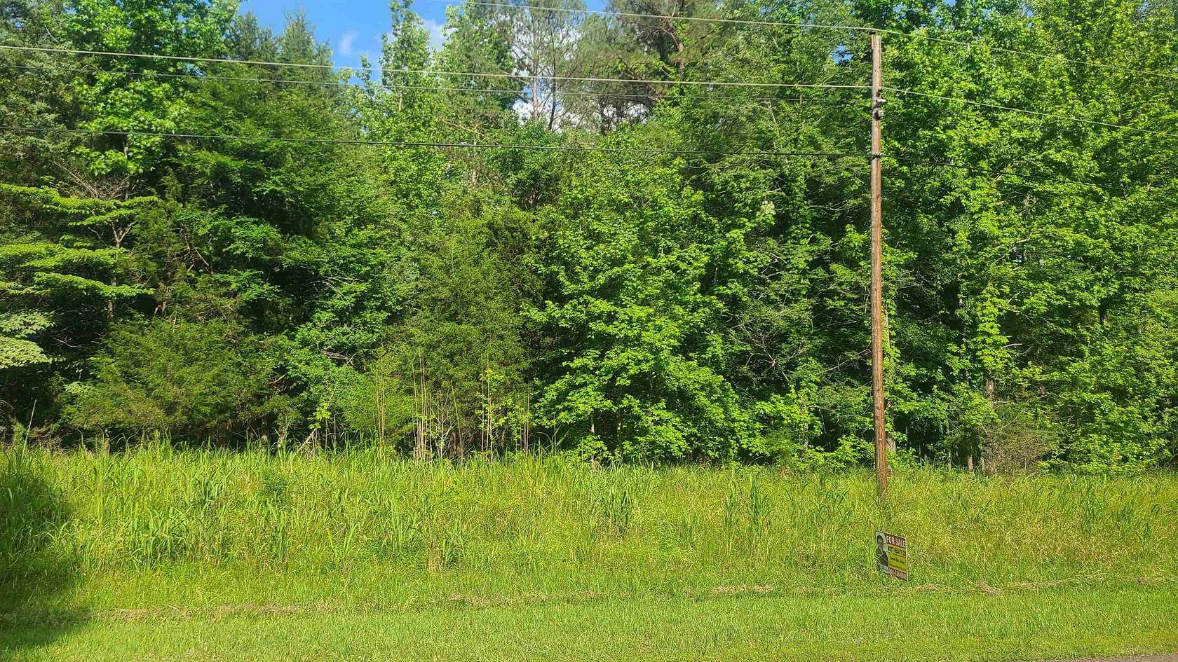 0.69 Acres of Residential Land for Sale in Saulsbury, Tennessee