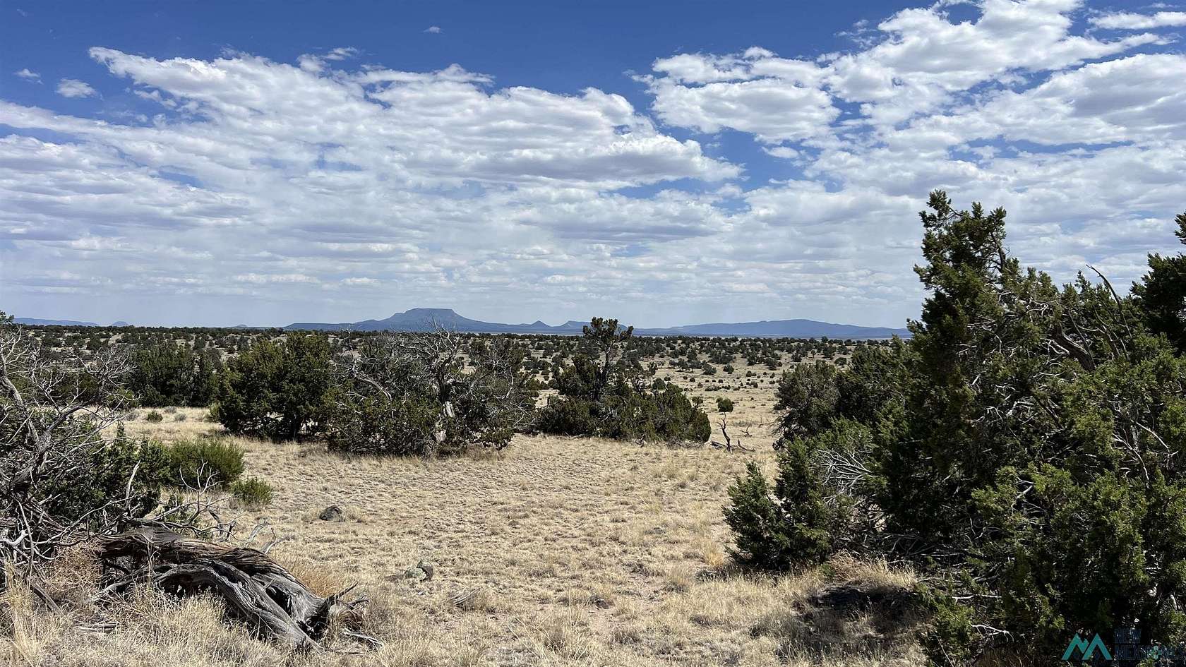 10.3 Acres of Land for Sale in Quemado, New Mexico