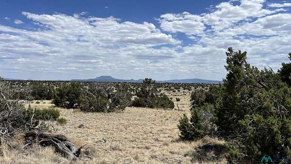 10.3 Acres of Land for Sale in Quemado, New Mexico