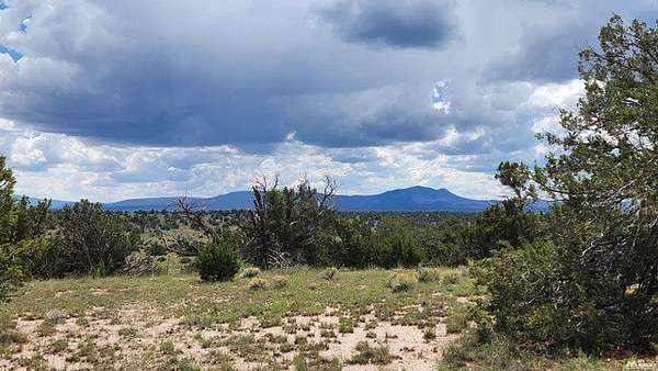 10.3 Acres of Land for Sale in Quemado, New Mexico
