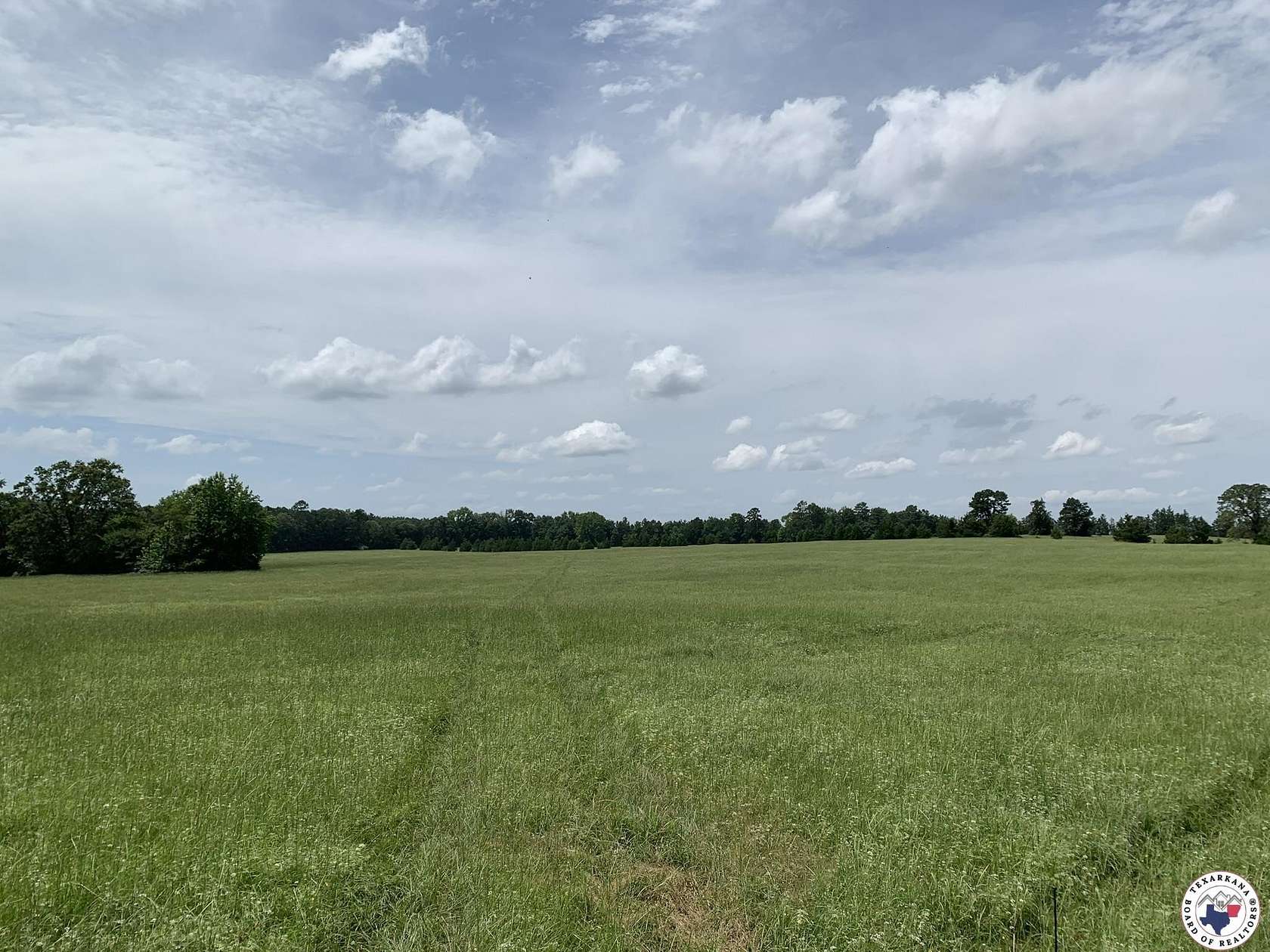 13.8 Acres of Land for Sale in Atlanta, Texas